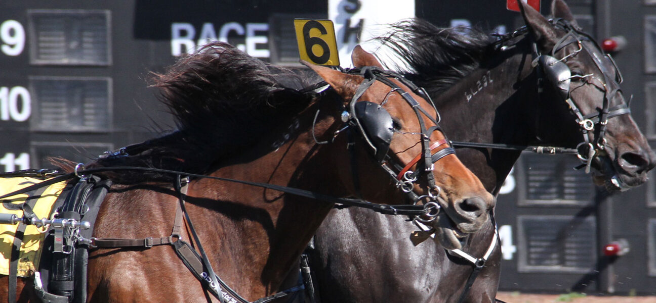 Harness Racing