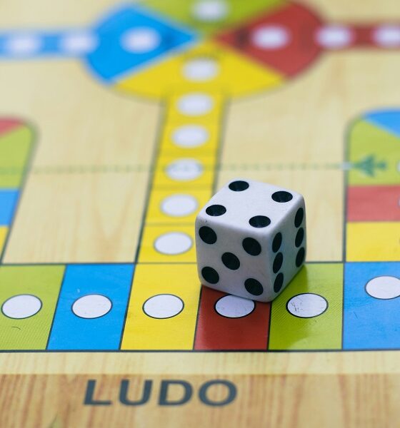 How to win Ludo Game