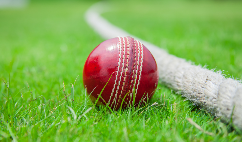 Balancing Your Fantasy Cricket Team: Stars vs. Budget Players