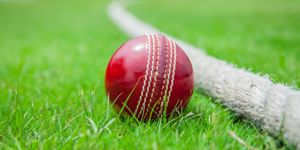 Balancing Your Fantasy Cricket Team: Stars vs. Budget Players