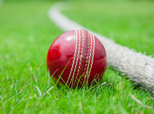 Balancing Your Fantasy Cricket Team: Stars vs. Budget Players